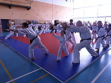 p3740713.jpg
