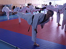 p3740828.jpg