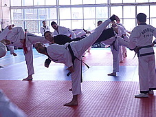 p3740976.jpg