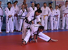 p3750297.jpg