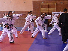 p3750742.jpg