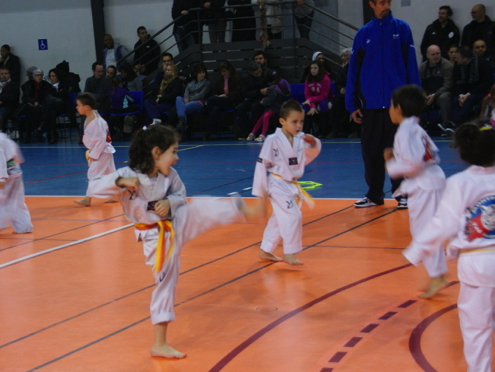 dsc09872.jpg
