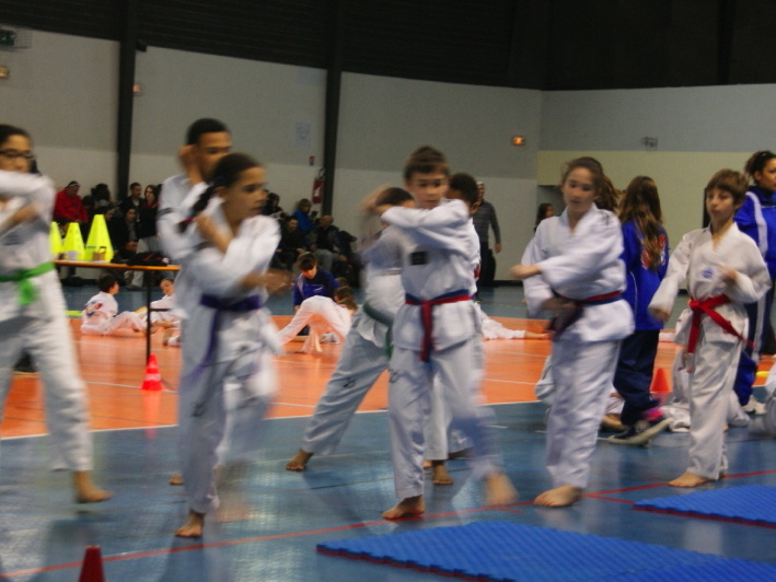 dsc09878.jpg