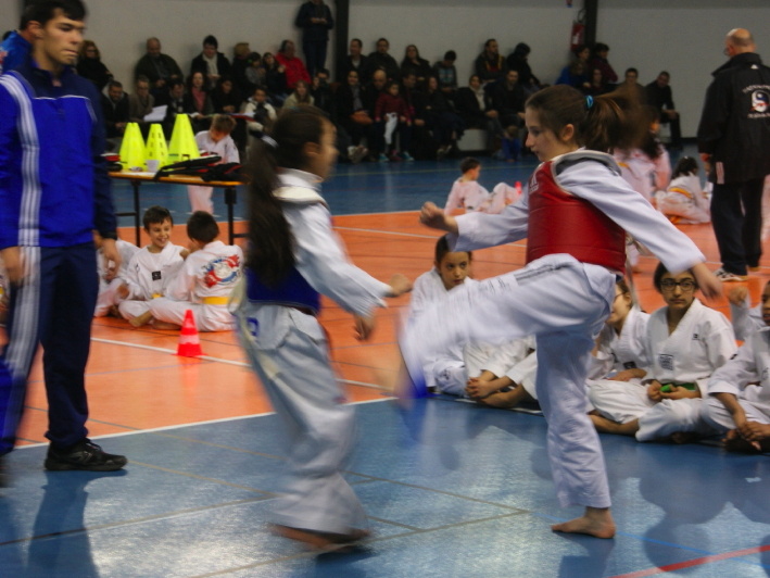 dsc09906.jpg