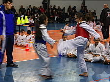 dsc09906.jpg