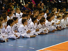 p3600465.jpg