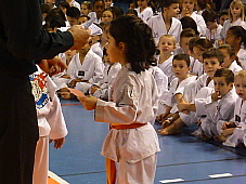 p3600498.jpg