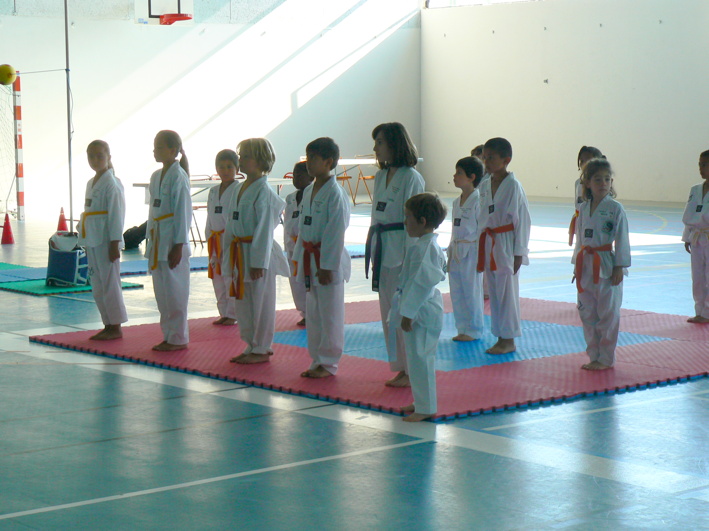 15p1190358.jpg
