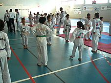 17p1190363.jpg