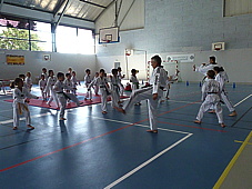 25p4060395.jpg