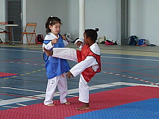 p4060644.jpg
