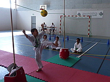 p4060991.jpg