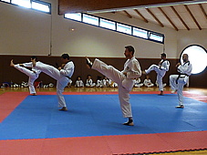 p4100554.jpg
