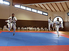 p4100591.jpg