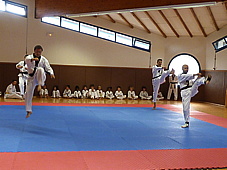 p4100592.jpg