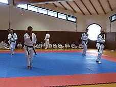 p4100631.jpg