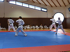p4100668.jpg