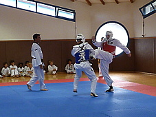 p4100831.jpg