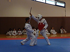 p4100965.jpg