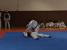 p4100989.jpg