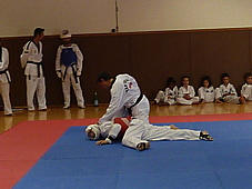 p4110014.jpg