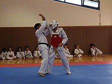 p4110036.jpg