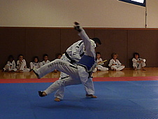 p4110049.jpg