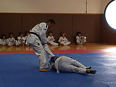 p4110053.jpg