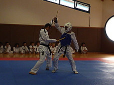 p4110063.jpg