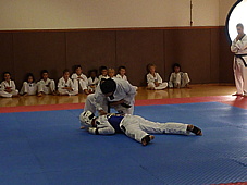p4110115.jpg