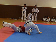 p4110135.jpg