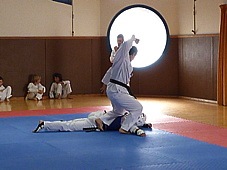 p4110155.jpg