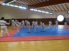 p4110177.jpg