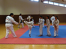 p4110198.jpg