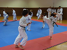 p4110322.jpg