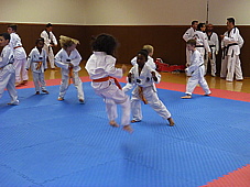 p4110349.jpg