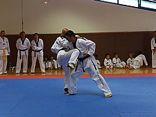 p4110413.jpg