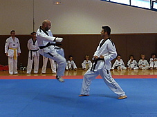 p4110433.jpg