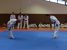 p4110440.jpg
