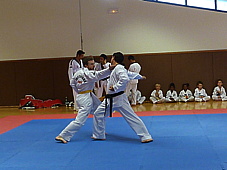 p4110455.jpg