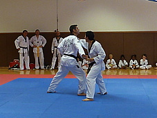 p4110491.jpg
