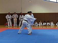 p4110505.jpg