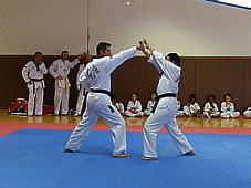 p4110514.jpg