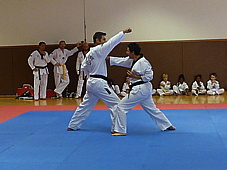 p4110521.jpg