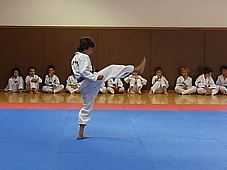 p4110533.jpg