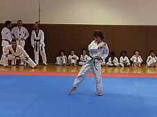 p4110546.jpg