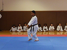 p4110610.jpg