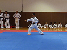 p4110661.jpg