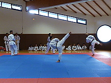 p4110681.jpg