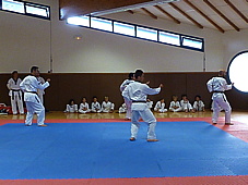 p4110699.jpg